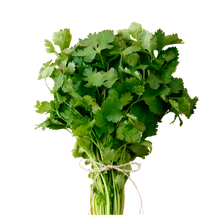 files/cilantro.png